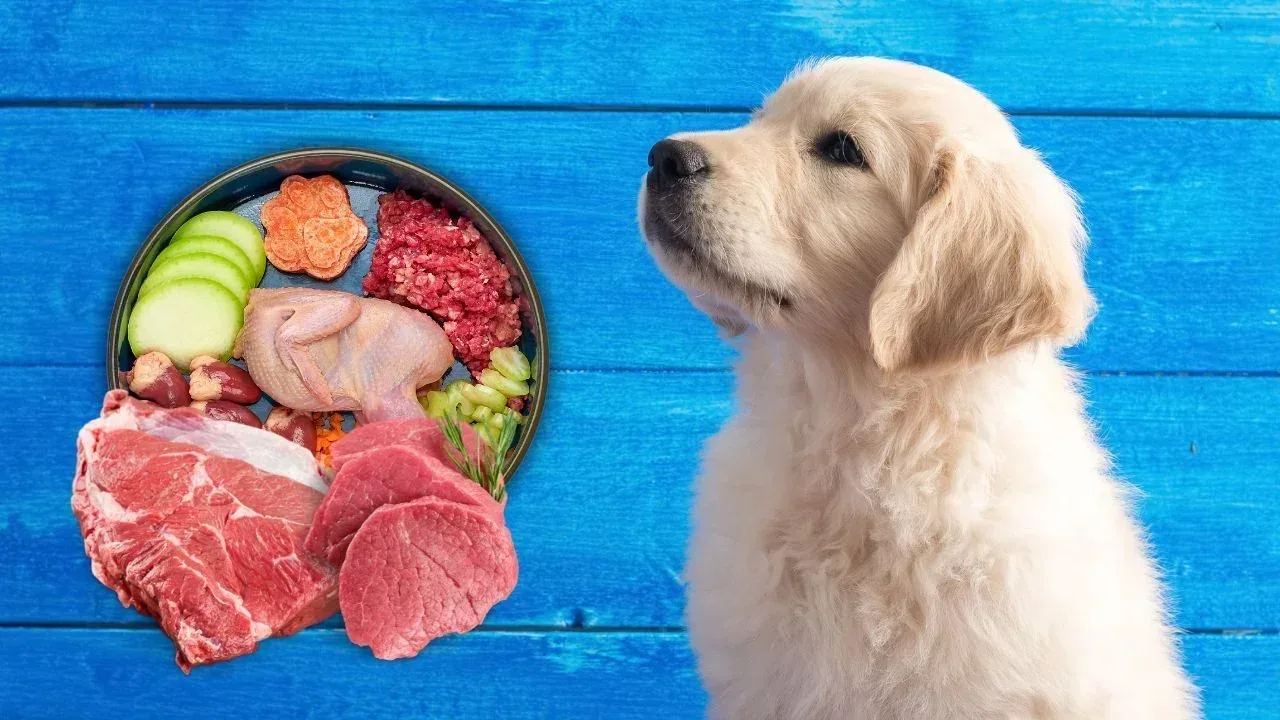 The 80/10/10 Ratio Guide