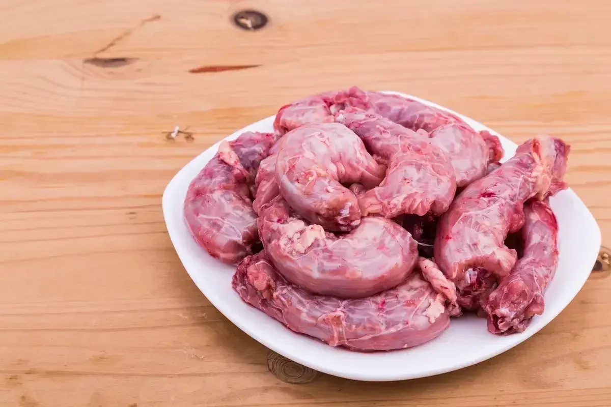 Can Dogs Eat Chicken Bones?