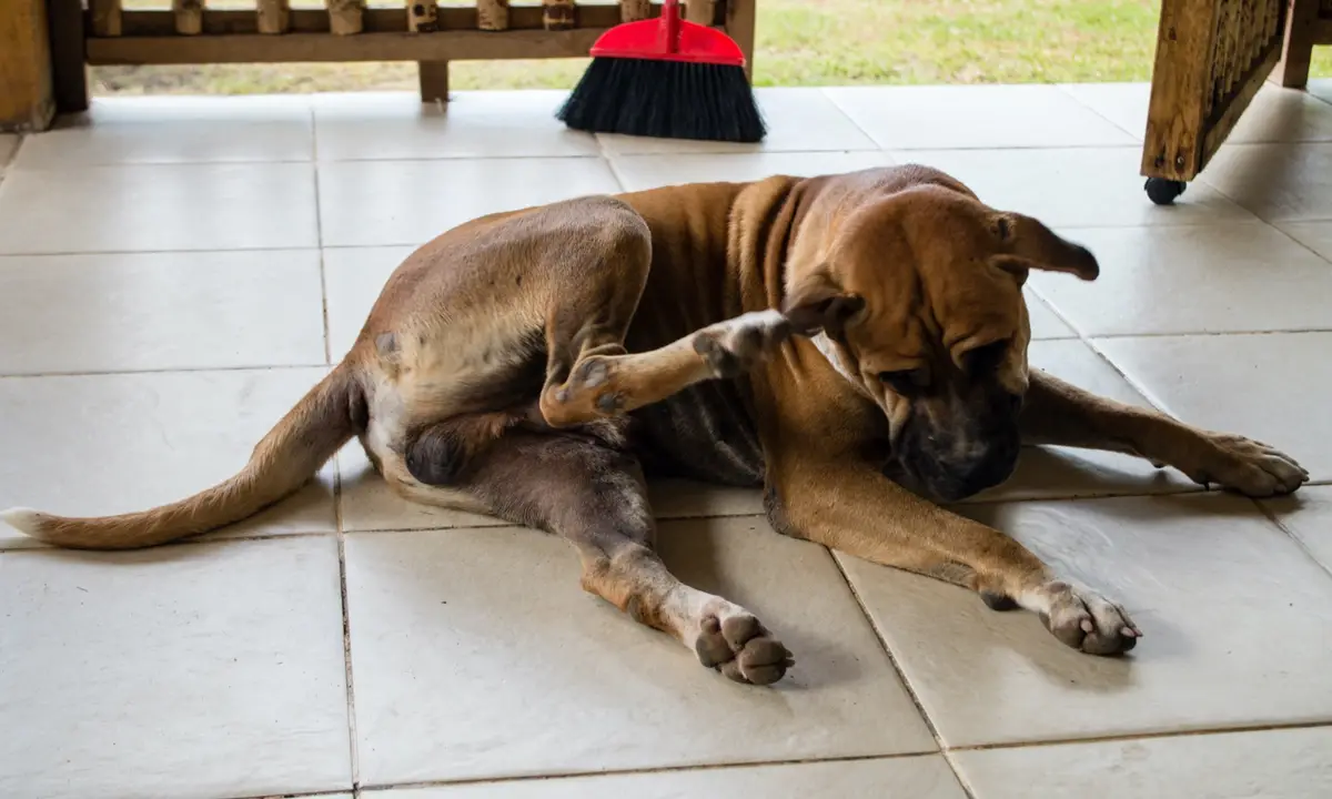 The Micronutrient Deficiency Crisis