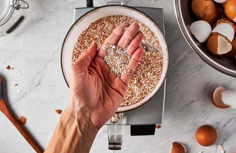 Kidney Disease & Phosphorus