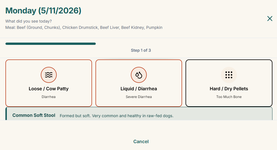 Raw & Well symptom journal overlay - daily log entries mapped against meal composition for correlation analysis