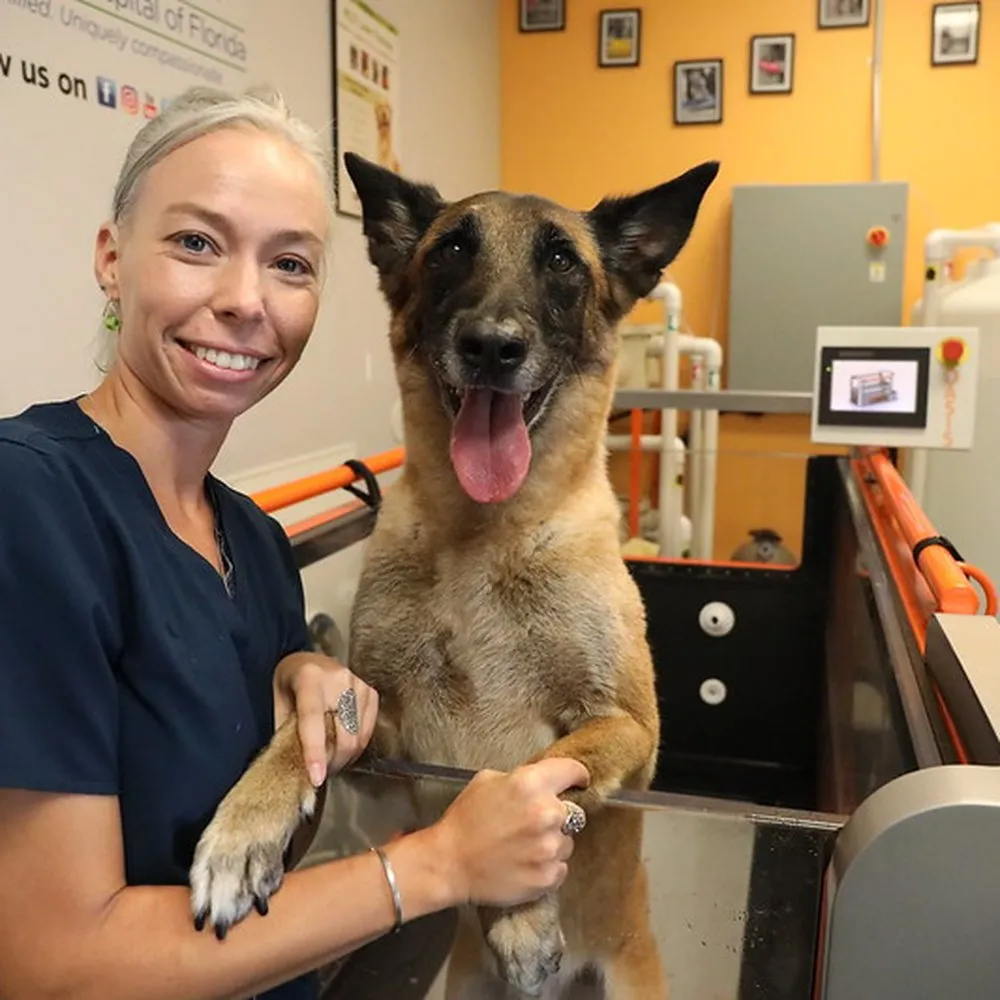 Lauren M. with her German Shepherd